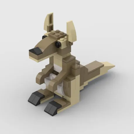 Kangourou Australien