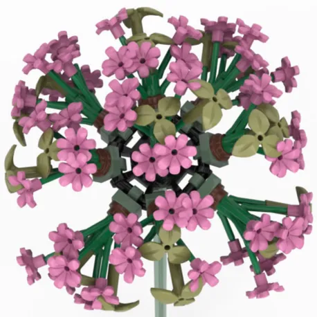 Levee de soleil rose