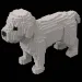 Chien blanc