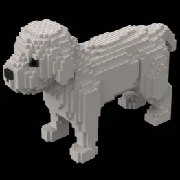 Chien blanc