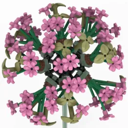 Levee de soleil rose