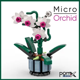 Orchidee