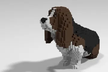 Basset Hound
