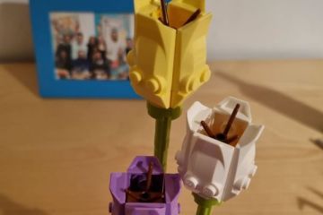 3 Tulipes