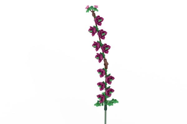 Fleur de cerisier